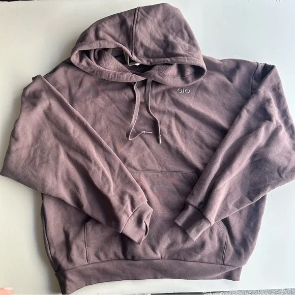 alo raisinette accolade Hoodie - Picture 3 of 3